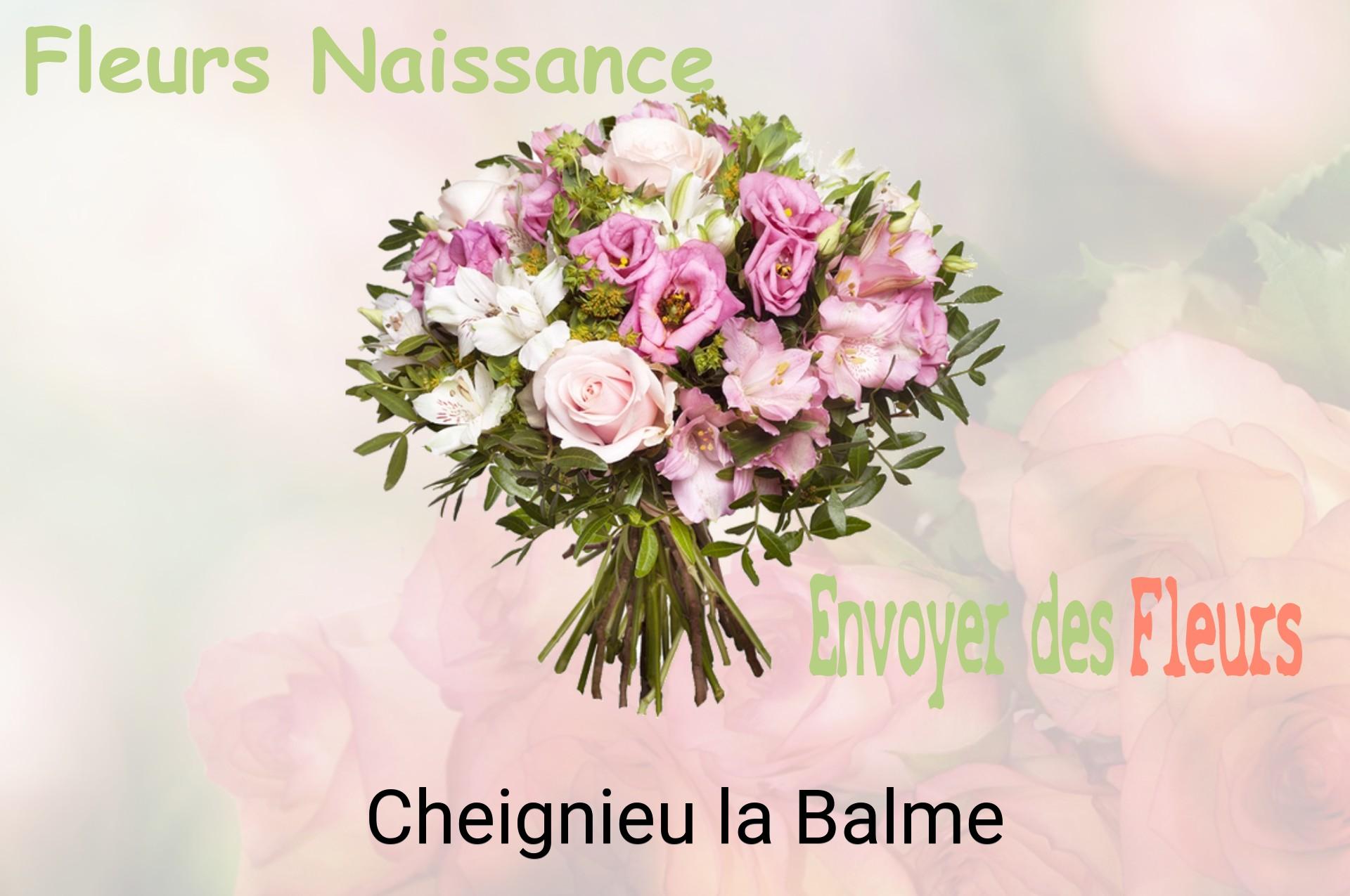 Bouquet de fleurs de naissance livré à Cheignieu-la-Balme